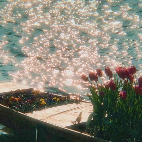 Flowing Dreams Chitx