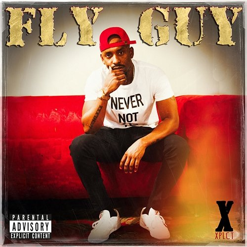 Fly Guy Fly Guy