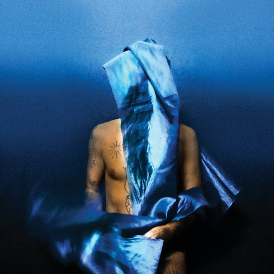 Flying Wig Banhart Devendra