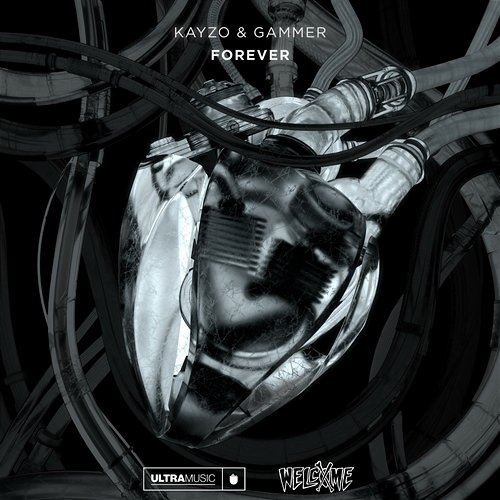FOREVER Kayzo, Gammer