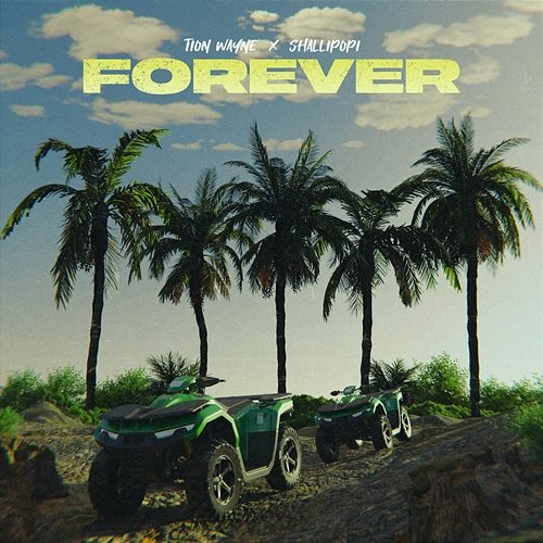 Forever Tion Wayne feat. Shallipopi