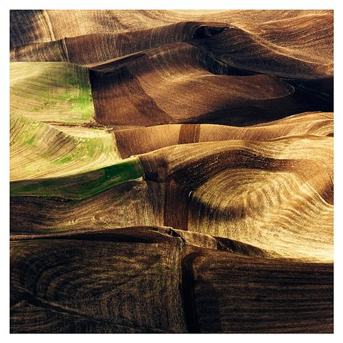 Forever Fields Alice Holmes