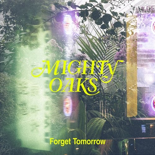 Forget Tomorrow Mighty Oaks