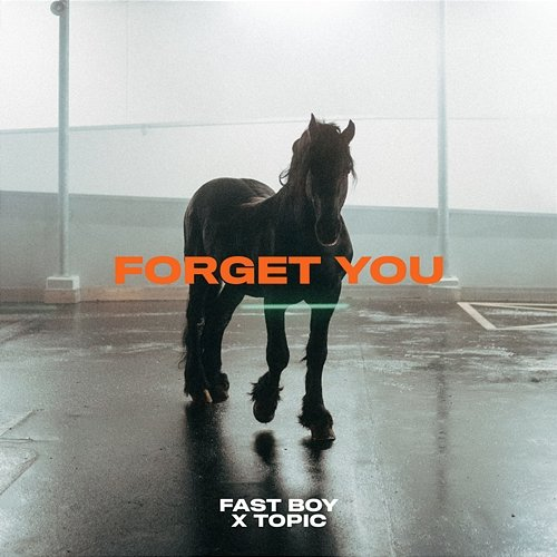Forget You FAST BOY, Topic