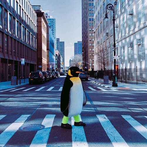 Forget You Rocket Pengwin