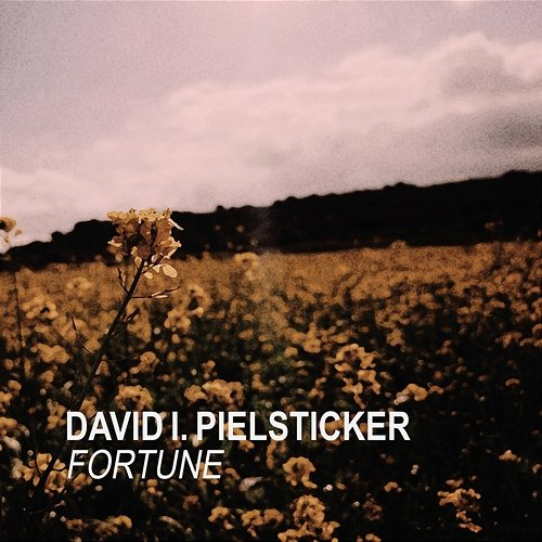 Fortune David I. Pielsticker