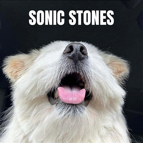 FORWARD SONIC STONES