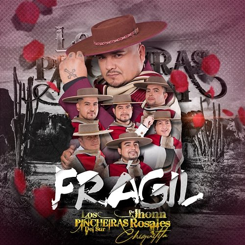 Frágil Los Pincheira del sur