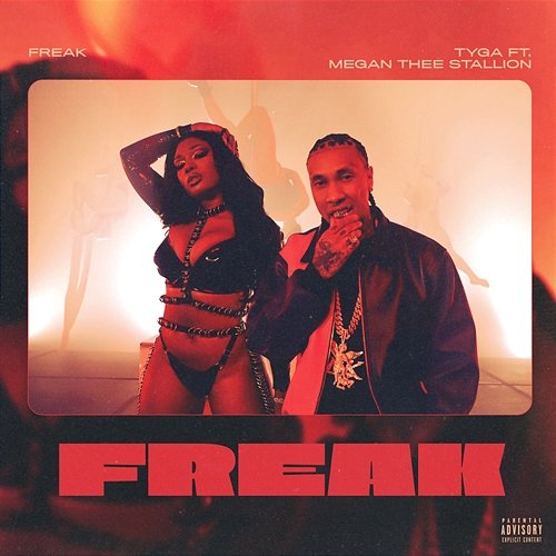 FREAK Tyga & Megan Thee Stallion