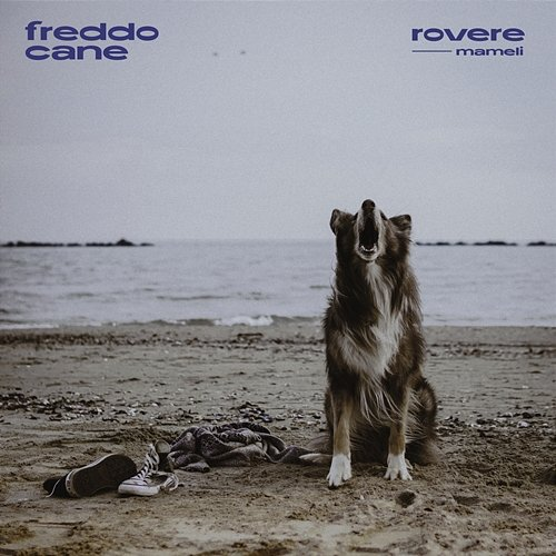 freddo cane rovere, Mameli