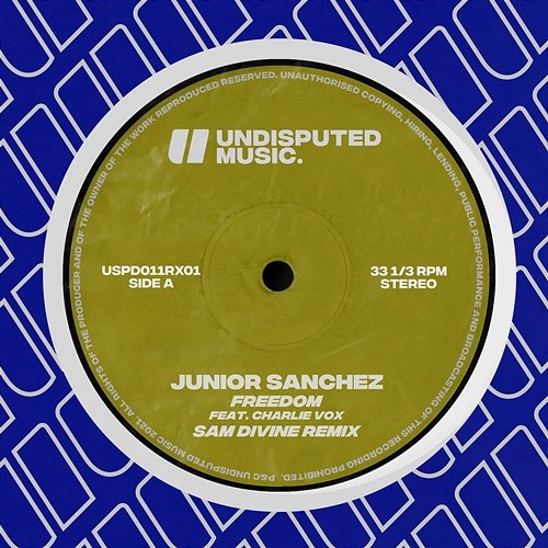 Freedom Junior Sanchez feat. Charlie Vox