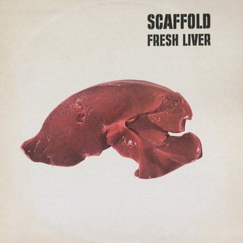 Fresh Liver The Scaffold