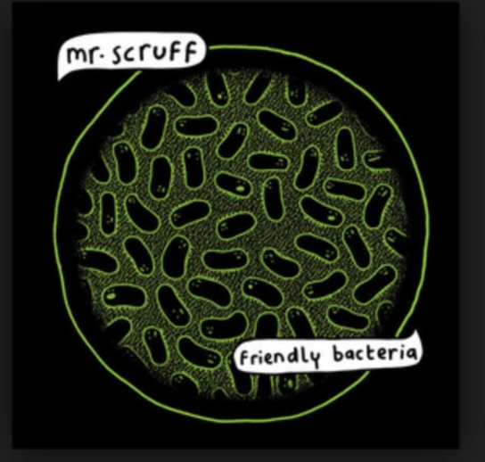 Friendly Bacteria Mr. Scruff