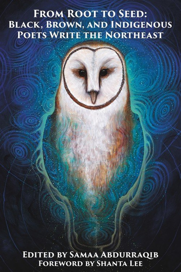 From Root to Seed McLoughlin Lis