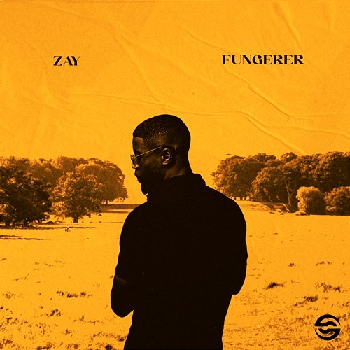Fungerer Zay