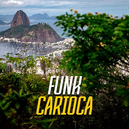 Funk Carioca DJ Polyvox & DJ Lula