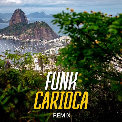 Funk Carioca Remix DJ Polyvox & DJ Lula