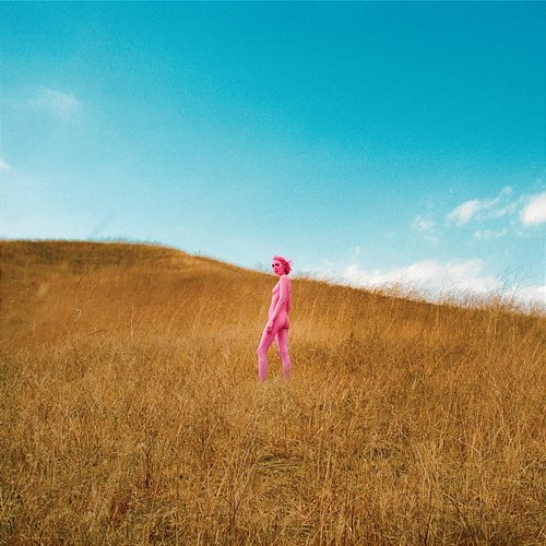 Further Joy The Regrettes