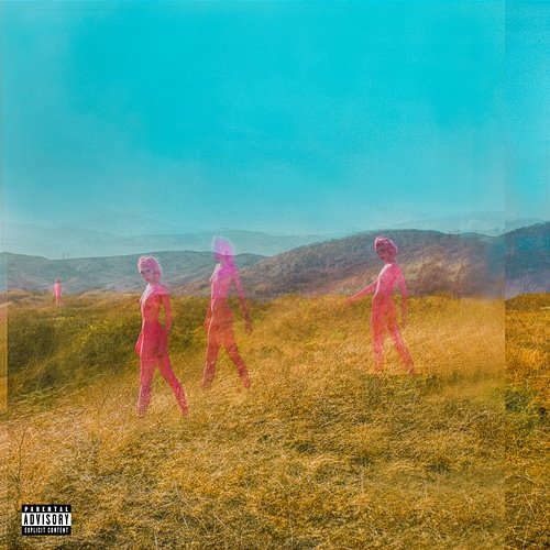 Further Joy The Regrettes