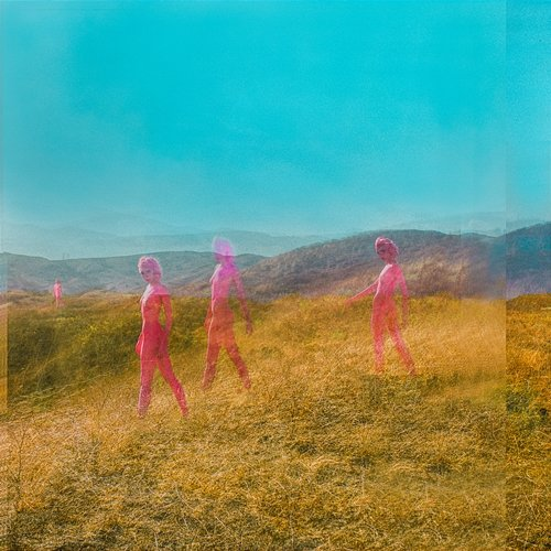 Further Joy The Regrettes