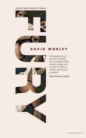 Fury David Morley