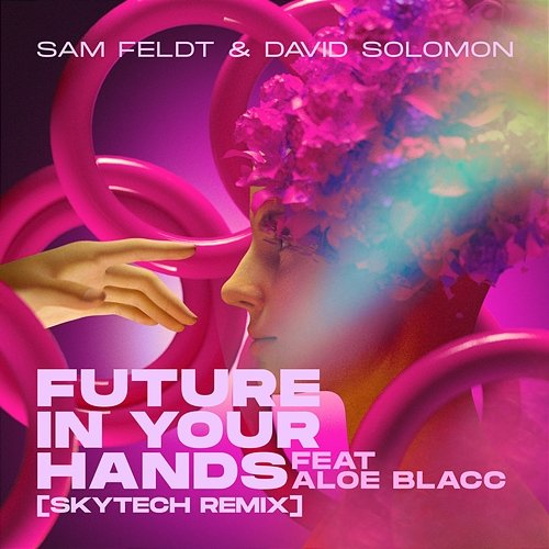 Future In Your Hands Sam Feldt & David Solomon feat. Aloe Blacc