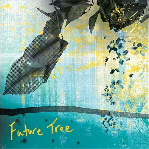 Future Tree Emma Pollock