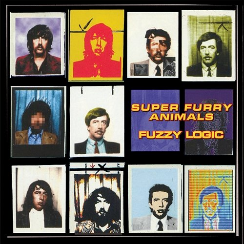 Fuzzy Logic Super Furry Animals