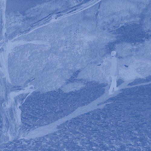 garden Stuiver, Guy Corneille, Paul Scheenstra, Daan Crone