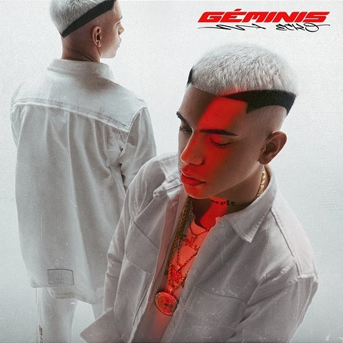 Géminis Ecko