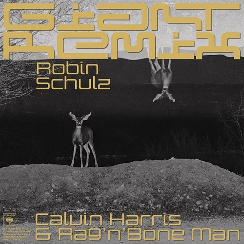 Giant Calvin Harris, Rag'N'Bone Man