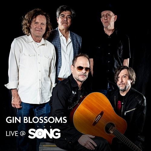 Gin Blossoms The Song TV, Gin Blossoms