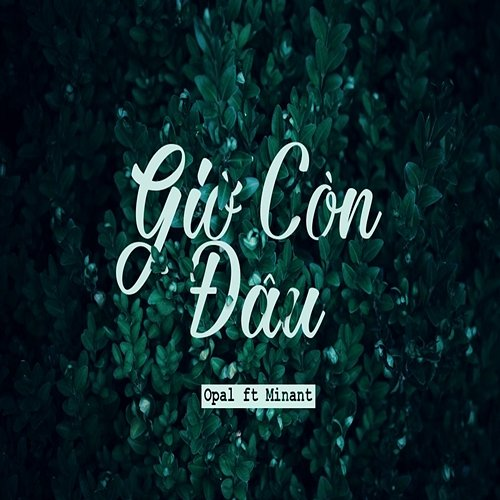 Giờ Còn Đâu Opal