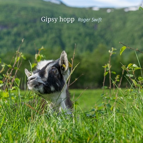 Gipsy hopp Roger Swift