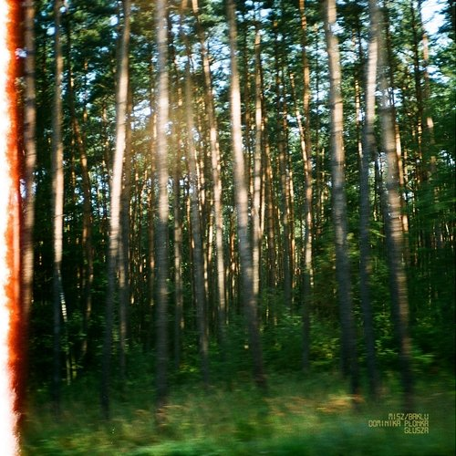 Głusza Misz, Baklu feat. Dominika Plonka
