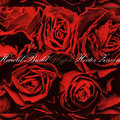 Glyph Hector Zazou, Harold Budd