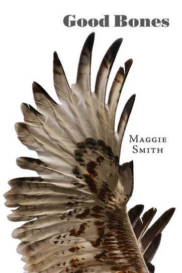Good Bones Smith Maggie
