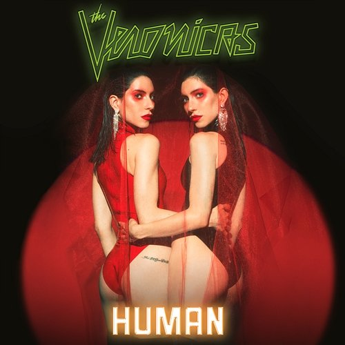 Goodbye The Veronicas