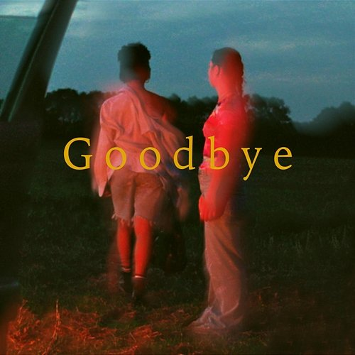 Goodbye AVAION, Sam Welch