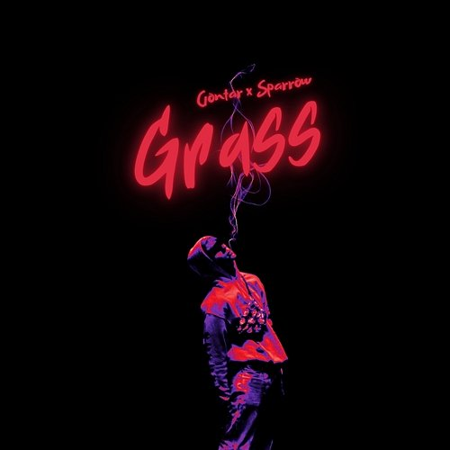 Grass Gontar, Sparrow