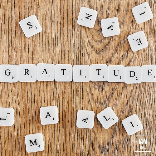 Gratitude Steven Fernsby