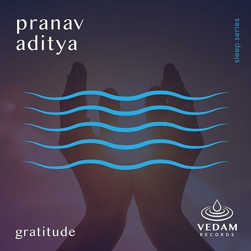 Gratitude Pranav Aditya, Vedam