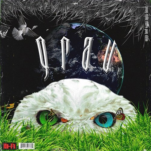 grau Yung Vision, Young Richie Rich