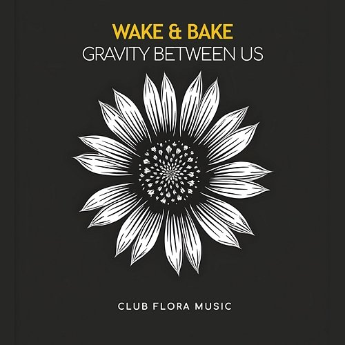 Gravity Between Us Wake, Bake
