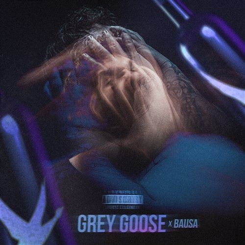 Grey Goose Bausa, Bozza