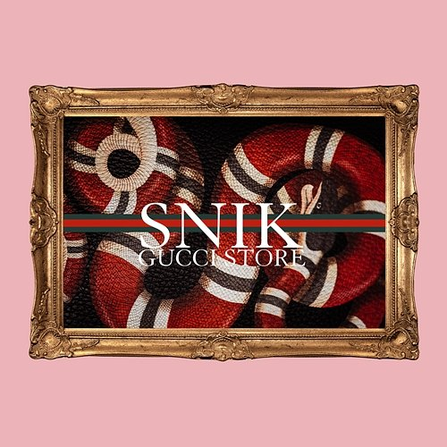 Gucci Store Snik