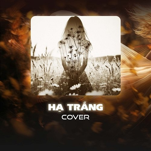 Hạ Trắng JiKi X