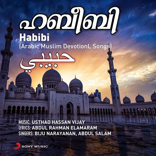 Habibi Biju Narayanan, Abdul Salam