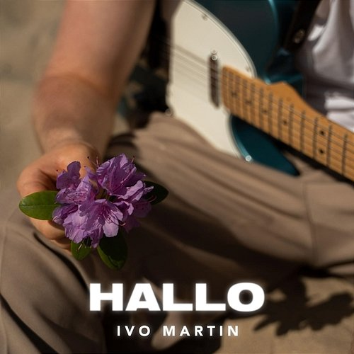 Hallo Ivo Martin