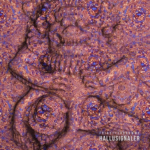 Hallusignaler Fribytterdrømme feat. Rasmus Yde